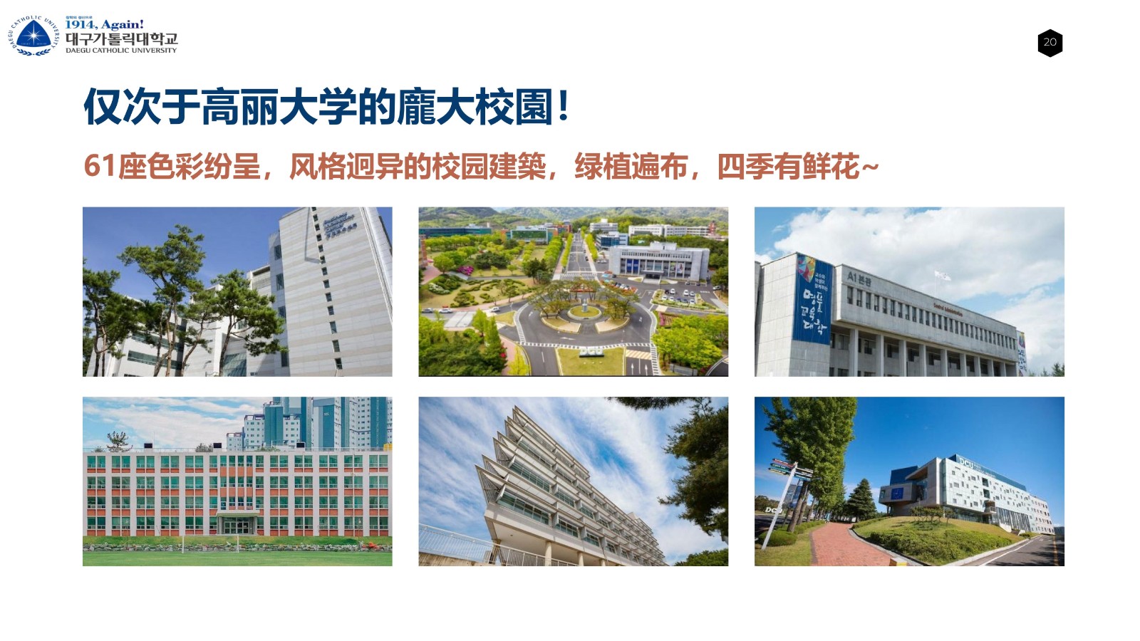 大邱加图立宣传 2年博士_18.jpg