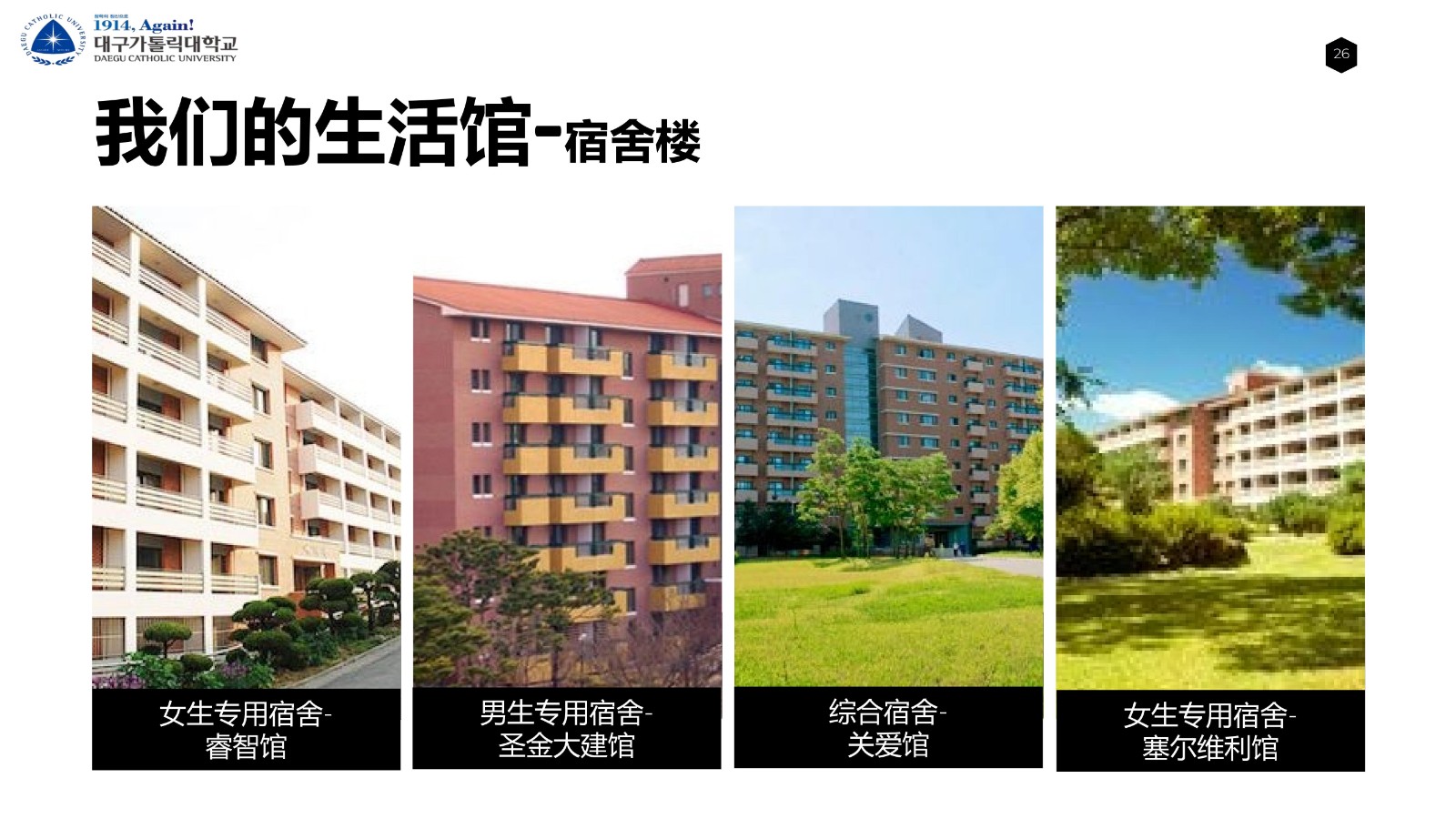 大邱加图立宣传 2年博士_24.jpg