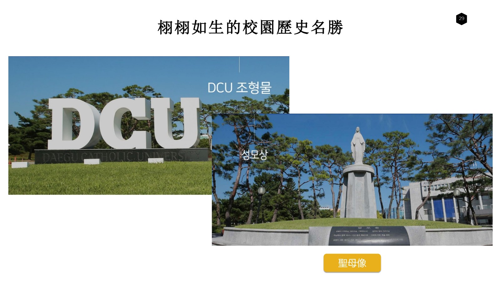 大邱加图立宣传 2年博士_27.jpg