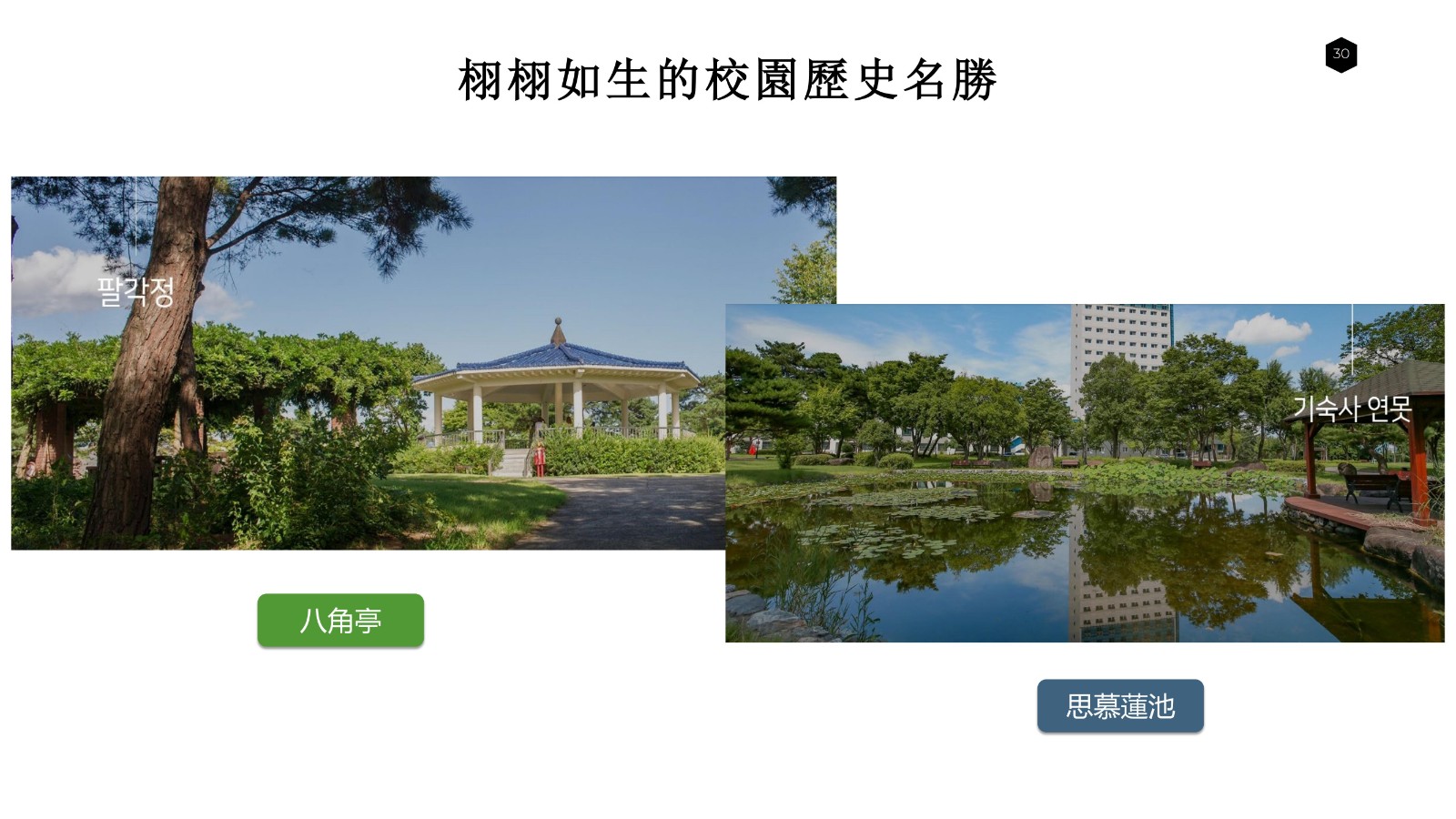 大邱加图立宣传 2年博士_28.jpg