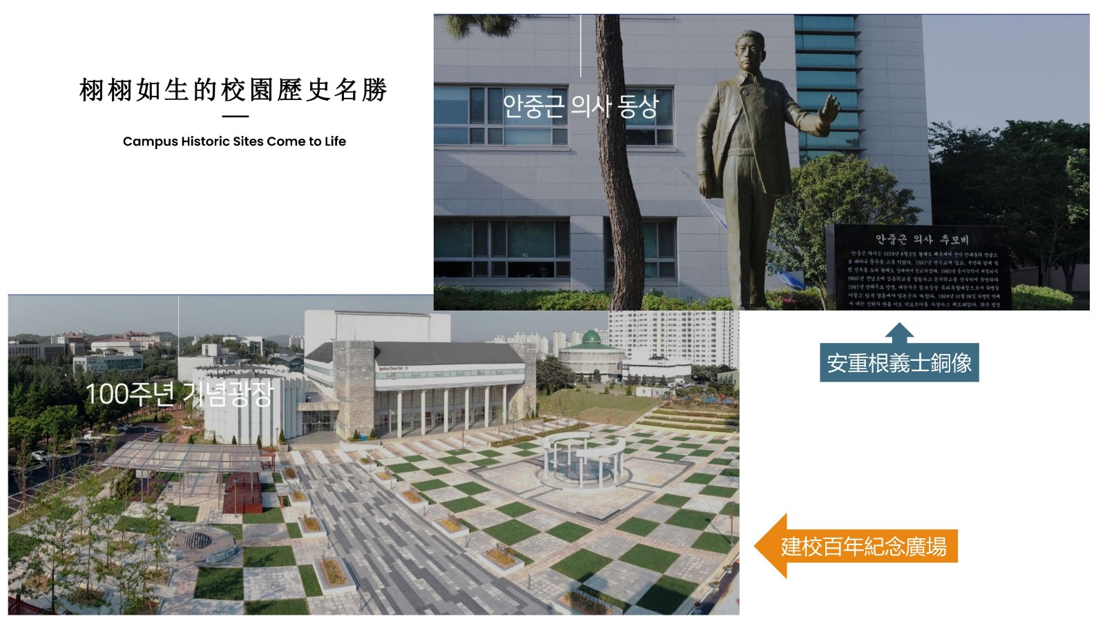 大邱加图立宣传 2年博士_29.jpg