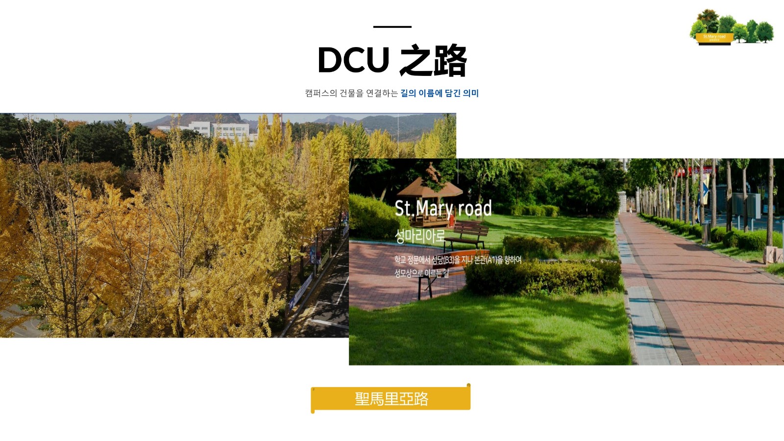 大邱加图立宣传 2年博士_30.jpg