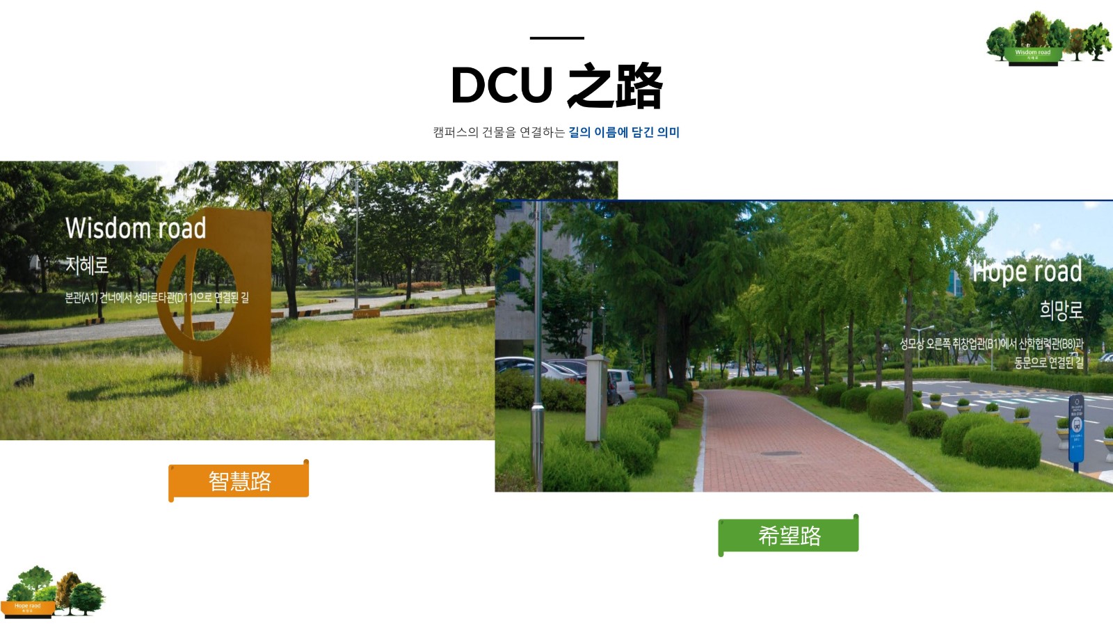 大邱加图立宣传 2年博士_31.jpg