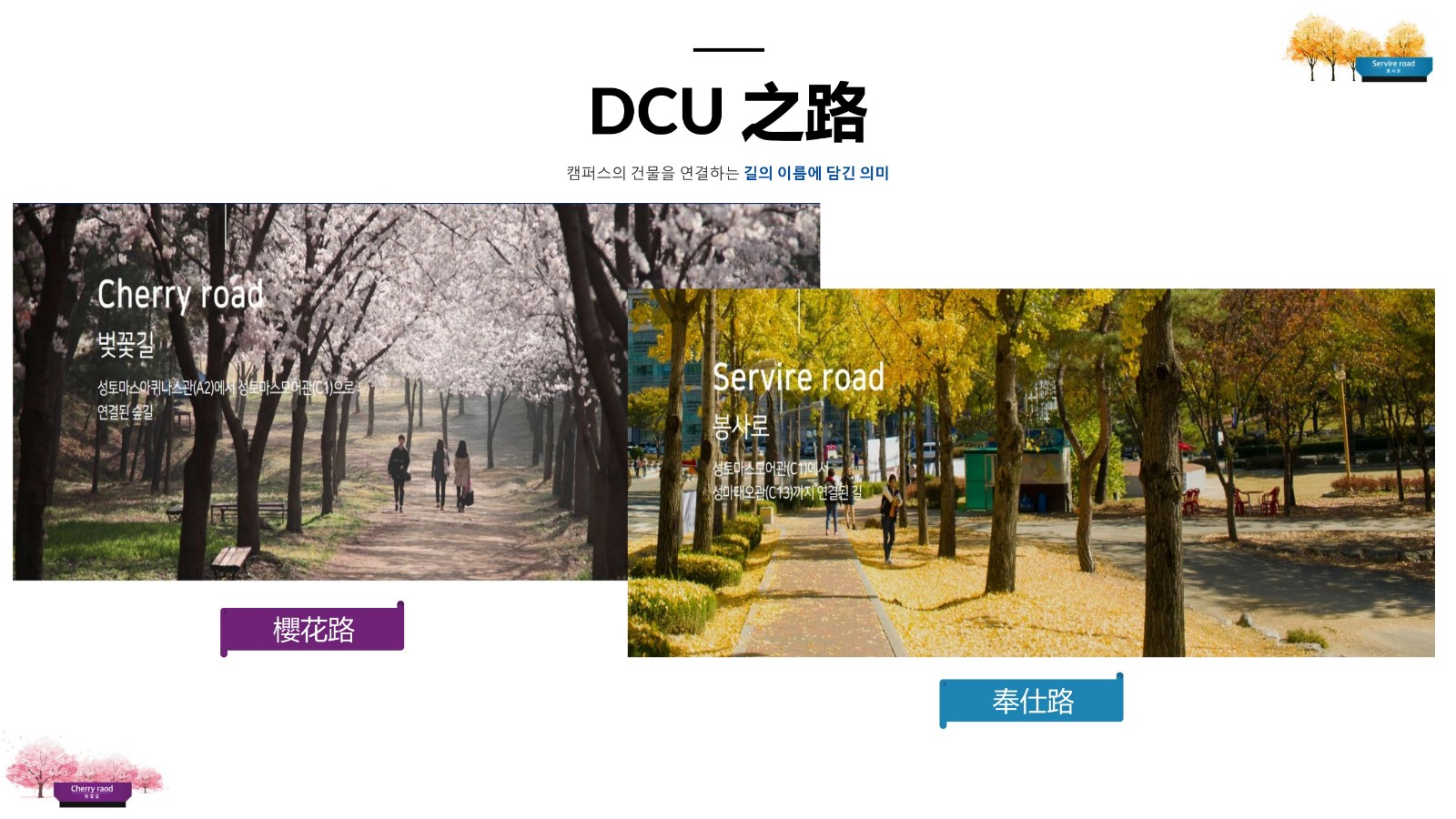 大邱加图立宣传 2年博士_32.jpg
