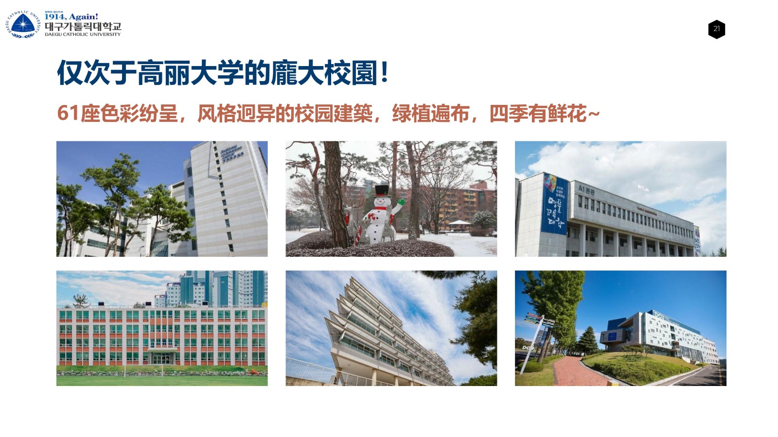 大邱加图立 公共管理 3年直博_19.jpg